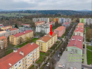 Prodej bytu 2+1, Ostrov, S. K. Neumanna, 54 m2