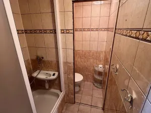 Pronájem bytu 1+1, Plzeň - Bolevec, Komenského, 39 m2