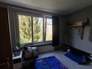 Prodej bytu 3+1, Cheb, Do Zátiší, 59 m2