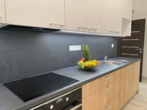 Pronájem bytu 2+kk, Ústí nad Labem - Střekov, Žukovova, 50 m2