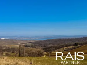 Prodej rodinného domu, Klentnice, 220 m2