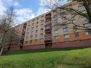 Prodej bytu 2+1, Česká Třebová - Lhotka, 60 m2