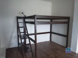 Pronájem bytu 1+kk, Plzeň - Jižní Předměstí, Plachého, 21 m2