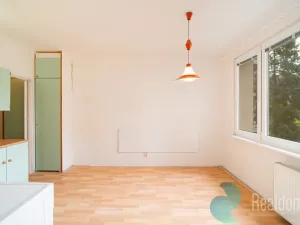 Prodej bytu 1+1, České Budějovice, Větrná, 37 m2