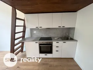 Pronájem bytu 1+kk, Ostrava - Přívoz, Palackého, 25 m2