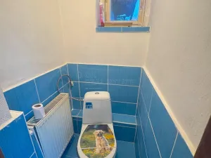 Prodej rodinného domu, Dlouhá Loučka - Plinkout, 140 m2