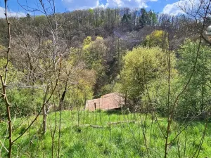 Prodej chaty, Brno - Bystrc, 24 m2