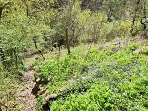 Prodej chaty, Brno - Bystrc, 24 m2