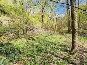 Prodej chaty, Brno - Bystrc, 24 m2