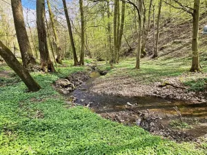 Prodej chaty, Brno - Bystrc, 24 m2