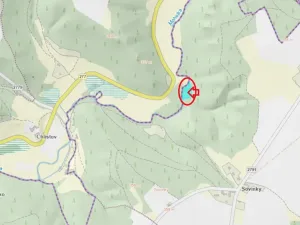 Prodej lesa, Chocnějovice, 2953 m2