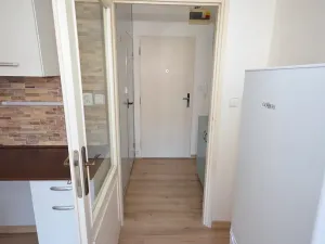Pronájem bytu 1+kk, Frýdek-Místek, Javorová, 23 m2
