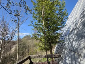 Pronájem chaty, Václavov u Bruntálu, 50 m2