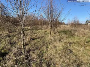 Prodej pozemku pro bydlení, Frýdlant nad Ostravicí, Havlíčkova, 6279 m2