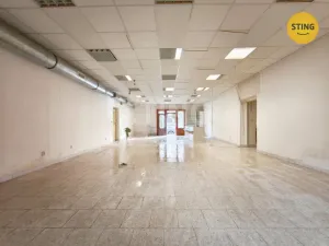 Prodej rodinného domu, Brtnice, Legionářská, 210 m2