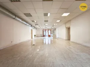 Prodej rodinného domu, Brtnice, Legionářská, 210 m2