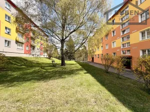 Prodej bytu 3+1, Tachov, Školní, 58 m2