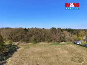 Prodej lesa, Sadská, 1964 m2