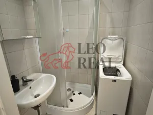 Pronájem bytu 1+kk, Praha - Podolí, Kaplická, 27 m2