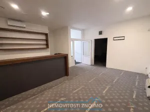 Pronájem obchodního prostoru, Znojmo, Holandská, 142 m2