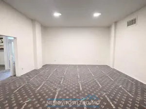 Pronájem obchodního prostoru, Znojmo, Holandská, 142 m2