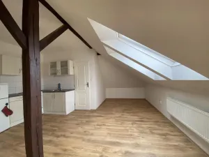 Pronájem bytu 1+kk, Brno - Černovice, Řehořova, 31 m2