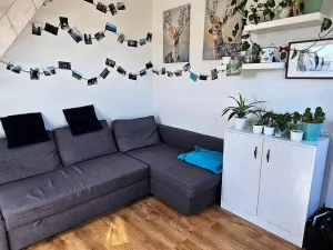 Pronájem bytu 2+kk, Brno - Černovice, Řehořova, 26 m2