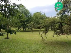 Prodej rodinného domu, Doudleby nad Orlicí, Fűgnerova, 187 m2