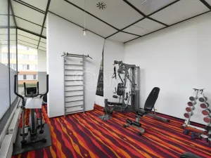 Pronájem bytu 3+kk, Praha - Karlín, Molákova, 42 m2