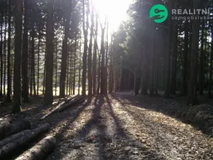 Prodej ubytování, Čaková, 775 m2