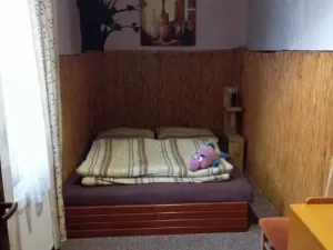 Prodej ubytování, Čaková, lfdlkdsa, 775 m2