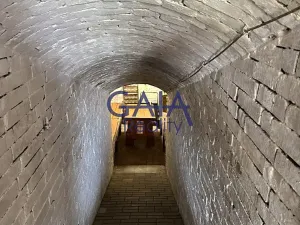 Prodej vinného sklepa, Mutěnice, 45 m2