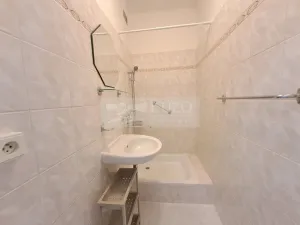 Pronájem bytu 1+kk, Praha - Braník, Nad lesním divadlem, 24 m2