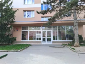 Pronájem bytu 1+kk, Praha - Braník, Nad lesním divadlem, 24 m2