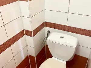 Pronájem bytu 1+1, Vsetín, Svornosti, 46 m2