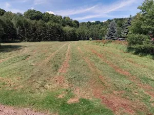 Prodej pozemku pro bydlení, Chotěvice, 4127 m2