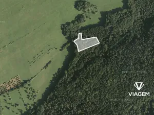 Prodej podílu lesa, Luhačovice, 1729 m2