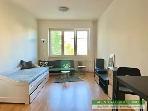 Pronájem bytu 1+kk, Praha - Vršovice, náměstí Svatopluka Čecha, 33 m2
