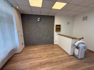 Pronájem komerční nemovitosti, Brno, Zborovská, 69 m2