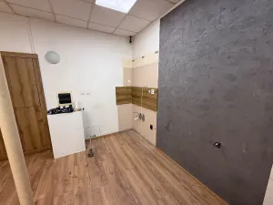 Pronájem komerční nemovitosti, Brno, Zborovská, 69 m2