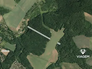 Prodej lesa, Moravské Bránice, 2986 m2