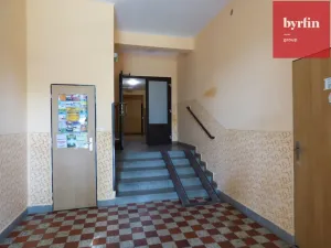 Pronájem bytu 1+kk, Opava, Haškova, 18 m2