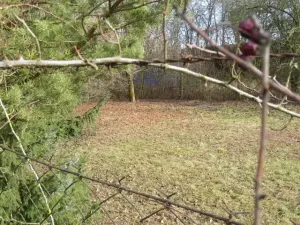 Dražba pole, Měrovice nad Hanou, 1943 m2