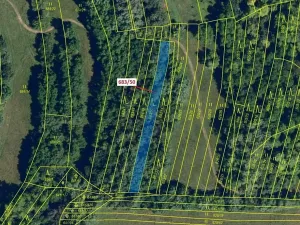 Dražba lesa, Ivančice, 477 m2