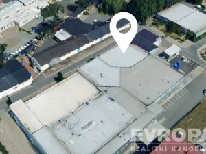 Pronájem komerční nemovitosti, Kolín - Kolín IV, K Dílnám, 600 m2