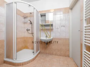 Pronájem bytu 3+1, Plzeň, Klatovská třída, 116 m2