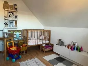 Prodej rodinného domu, Pelhřimov, Cholossiova, 220 m2