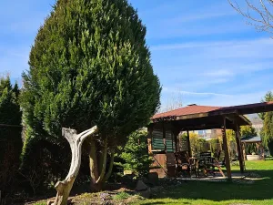 Prodej bytu 3+1, Moravská Třebová, Tyršova, 102 m2