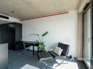 Pronájem bytu 1+kk, Brno, Královopolská, 35 m2