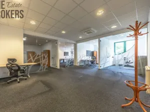 Pronájem rodinného domu, Mladá Boleslav - Čejetice, Koněvova, 296 m2